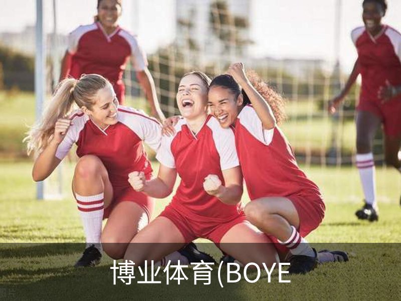 博业体育(BOYE介绍