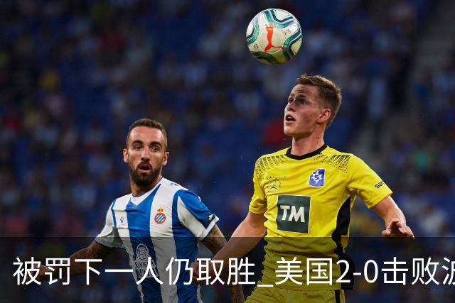 被罚下一人仍取胜 美国2-0击败波黑晋级16强