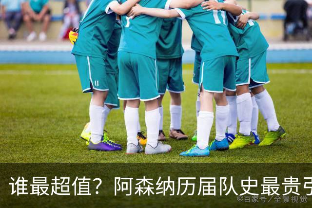 谁最超值？阿森纳历届队史最贵引援实力对比