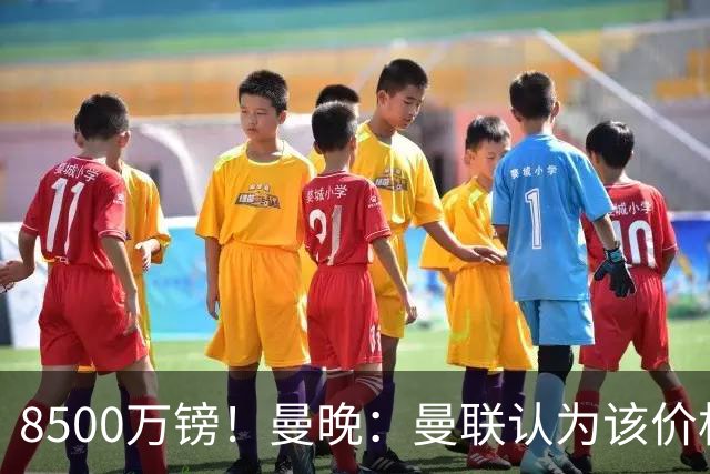 8500万镑！曼晚：曼联认为该价格高于估值，而且M费转会态度模糊